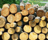seasoned firewood